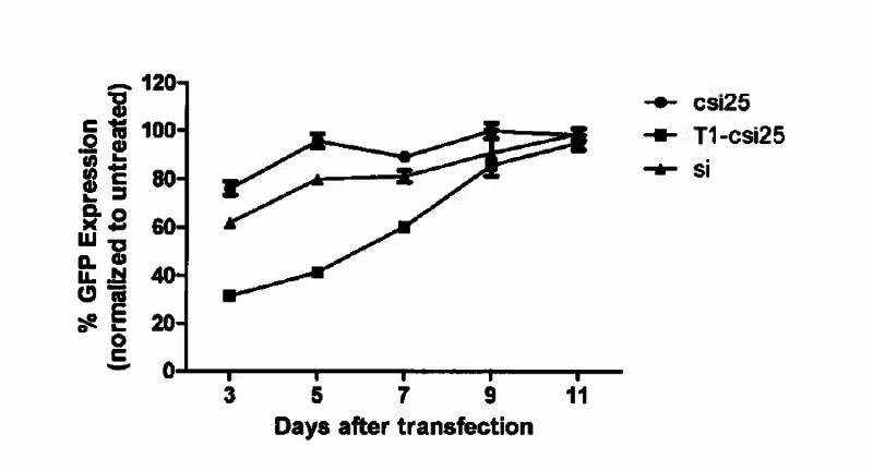 Extended knockdown of GFP by csiRNA (csi25), T1-cleaved csiRNA (T1-csi25), and siRNA (si) with Mirus TranslT-X2® in GFP-expressing HeLa cells, at an effective siRNA concentration of 5 nM.