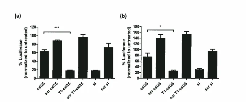 Luciferase knockdown by luciferase-targeting and scrambled (scr) csiRNA (csi25), T1-cleaved csiRNA (T1-csi25), and siRNA with Mirus TranslT-X2® in luciferase-expressing (a) SKOV3 cells and (b) UCI1O1 cells, with normalization of measured luciferase expression to total protein.