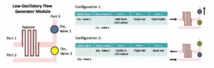 Low-Oscillatory Flow Generature Module with two operating configurations and resultant flow directions. 