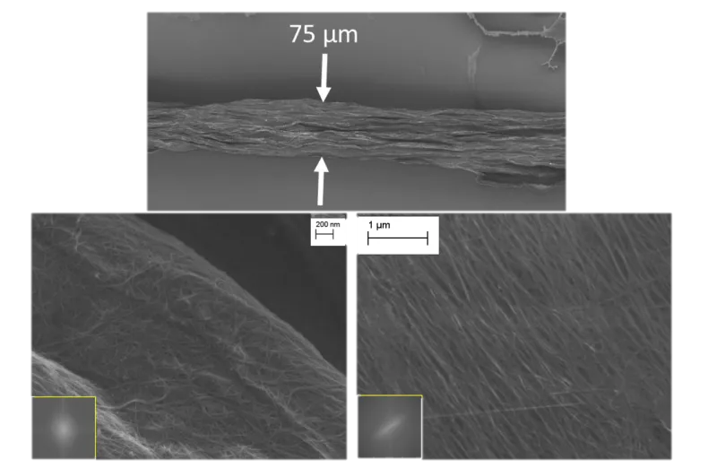 Micron-scale images reveal the fibril alignment of the printed material which yields the electrical conductivity properties of the macrostructure approaching those of the elongated nanostructures