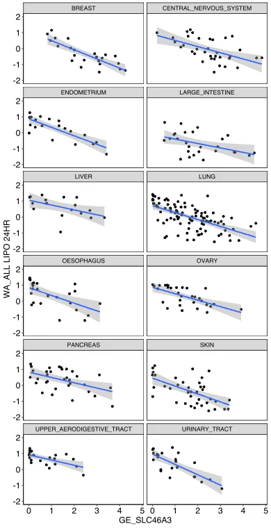 Image 1 shows high nanoparticle uptake tracking with low SLC46A3 gene expression across different cancer types for liposomal formulations.