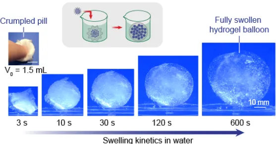 Swelling in Water Over Time