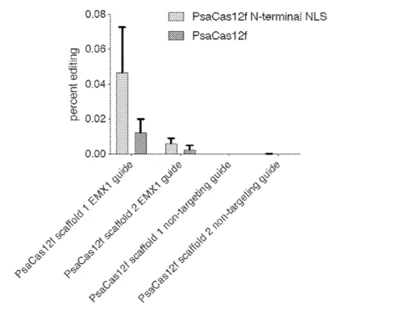 Image 2: Genome editing data with PsaCas12f (a miniature target specific nuclease) in HEK293FT cells. Cas12f family members show editing efficiencies above background for indel generation at EMX1. 