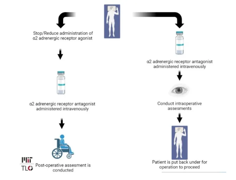 Figure 1: Schematic Diagram showing method of administering Alpha-2 Adrenergic Antagonist Agents. 