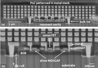 This figure shows a diverse panel of macrophage-activating compounds that target GPCRs, enzymes, kinases, nuclear hormone receptors (NHRs), and transporters. 